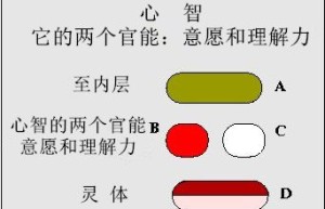 第4章 心智的两个官能，意愿和理解力