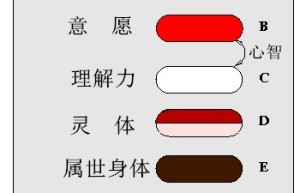 第5章 意愿和理解力–另一个视角