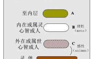 第6章 内在和外在心智