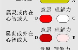 第7章 内在意愿和理解力，以及外在意愿和理解力
